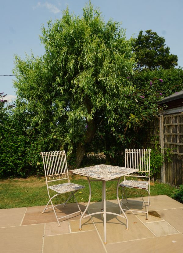 Peanut Courtyard