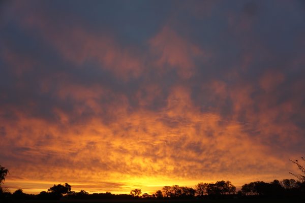 Another of those sunsets.