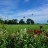 Willow Tree Holidays - The view from here.