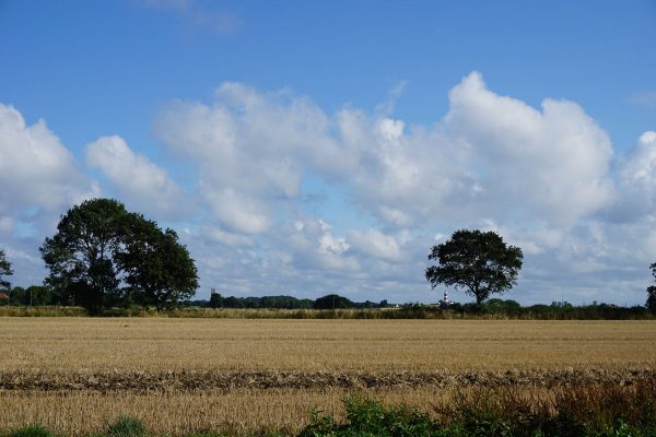 Willow Tree Holidays