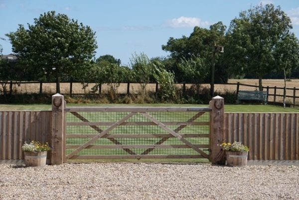 The Paddock